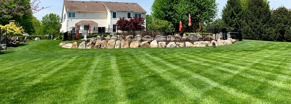 Tips for Landscaping the Yard