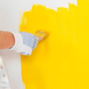 Innovative Trends in Exterior House Painting: Geelong’s Style Evolution