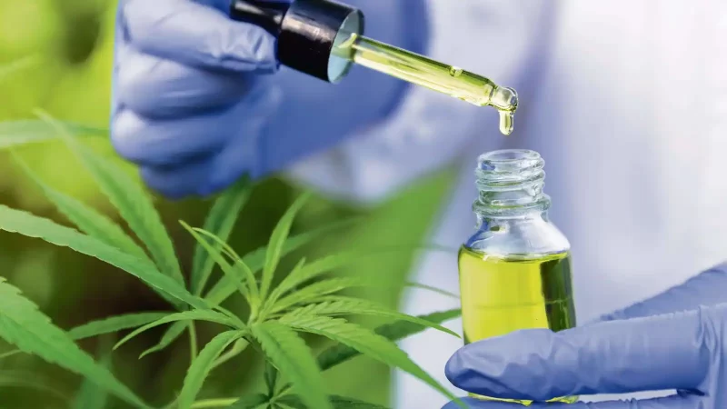 The Legal Status and Regulations of THC Lube